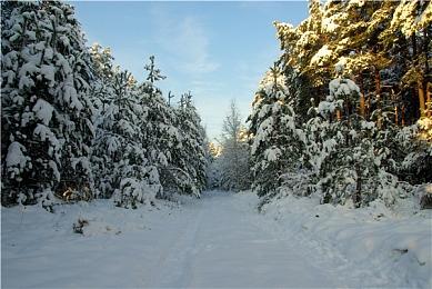 美食恋爱RPG《Thirsty Suitors》现已推出试玩版